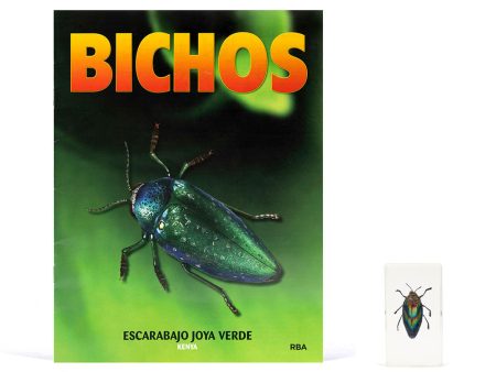 Bichos, Edición #4 Sale