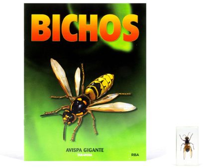 Bichos, Edición #5 For Cheap