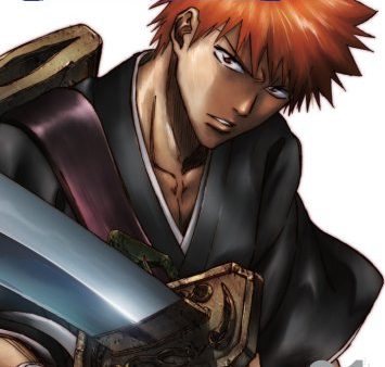 BLEACH (ANIME)  - DVD-UNCUT SET 1 Sale