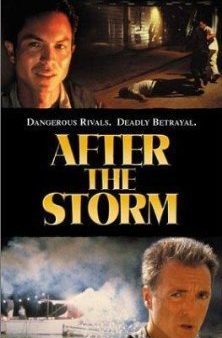 AFTER THE STORM (WIDESCREEN) Fashion