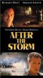 AFTER THE STORM (WIDESCREEN) Fashion